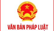 QUYẾT ĐỊNH 355/QĐ-BYT "Danh mục định mức tạm thời thuốc, hóa chất và vật tư tiêu hao để làm cơ sở xây dựng giá dịch vụ y tế"